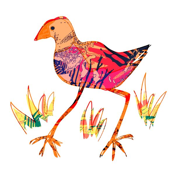 Pukeko multicolour Thumbnail